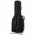 Harley Benton Delta Blues DCE + pokrowiec Thomann typu Gigbag